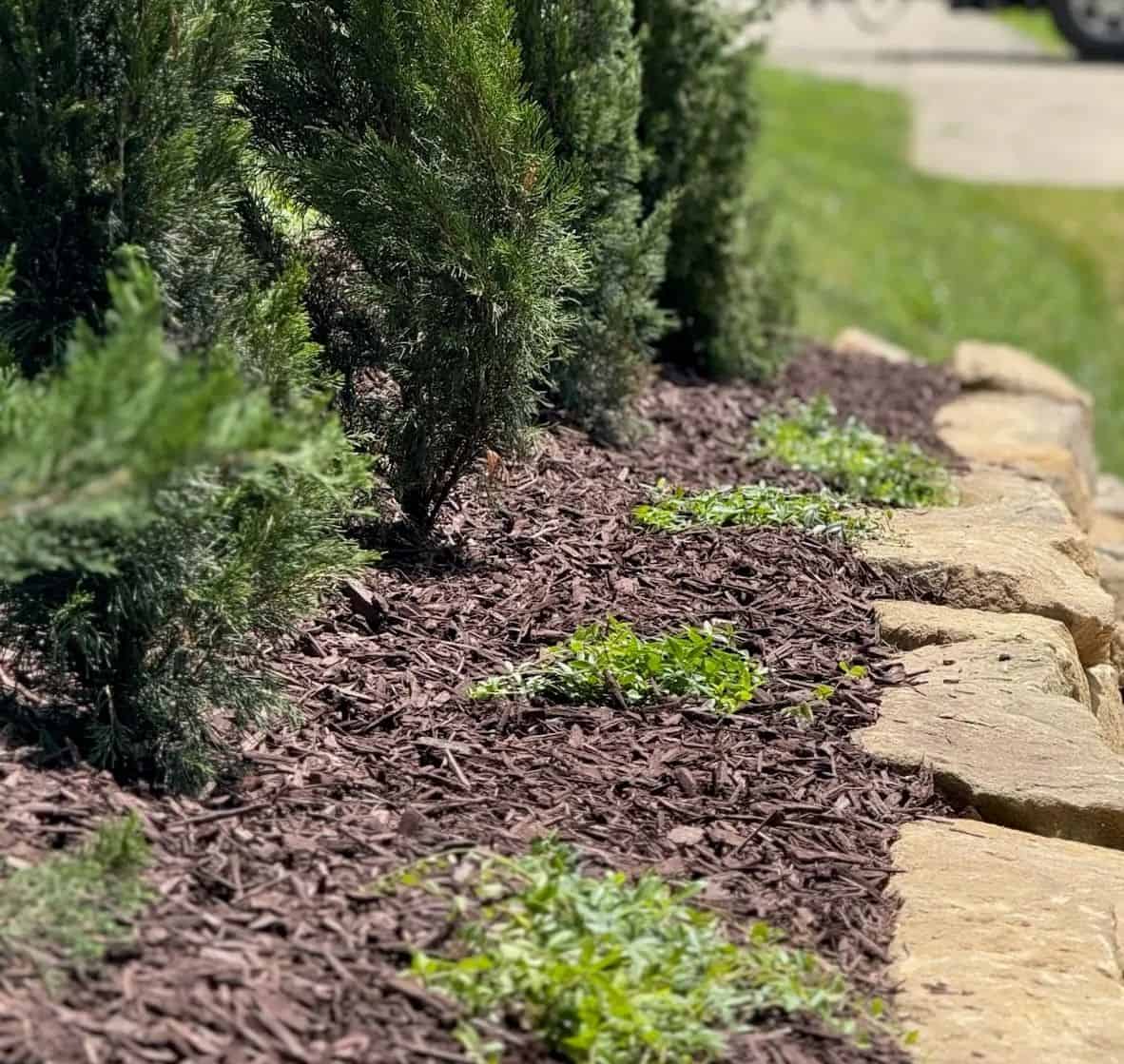 Mulch, Soil & Bed Enhancements image