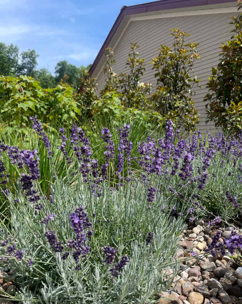 Maintenance & Seasonal Refreshes image