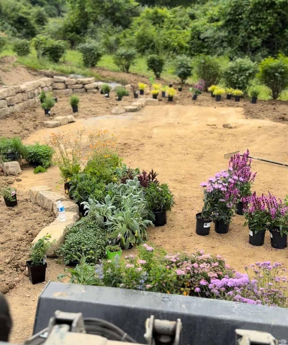 Plant Installation & Softscape Services image