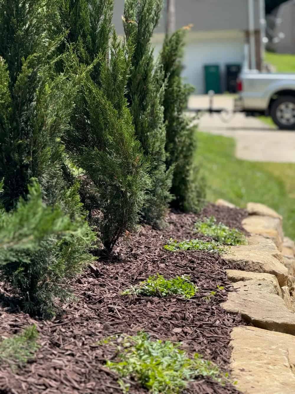 Planting & Garden Bed Installation image