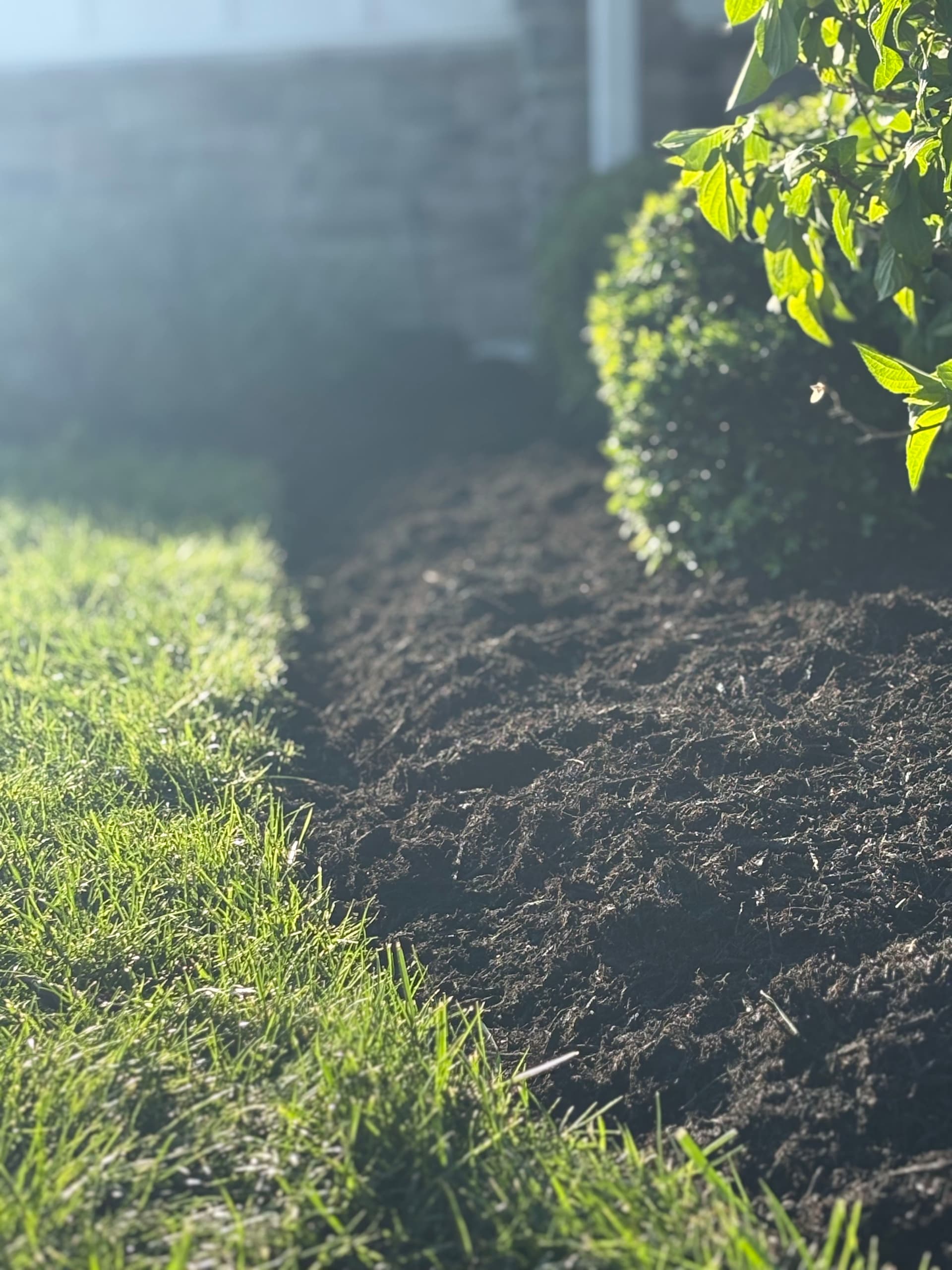 Fresh Bed Edges and Clean Lines in Bridgeport WV image