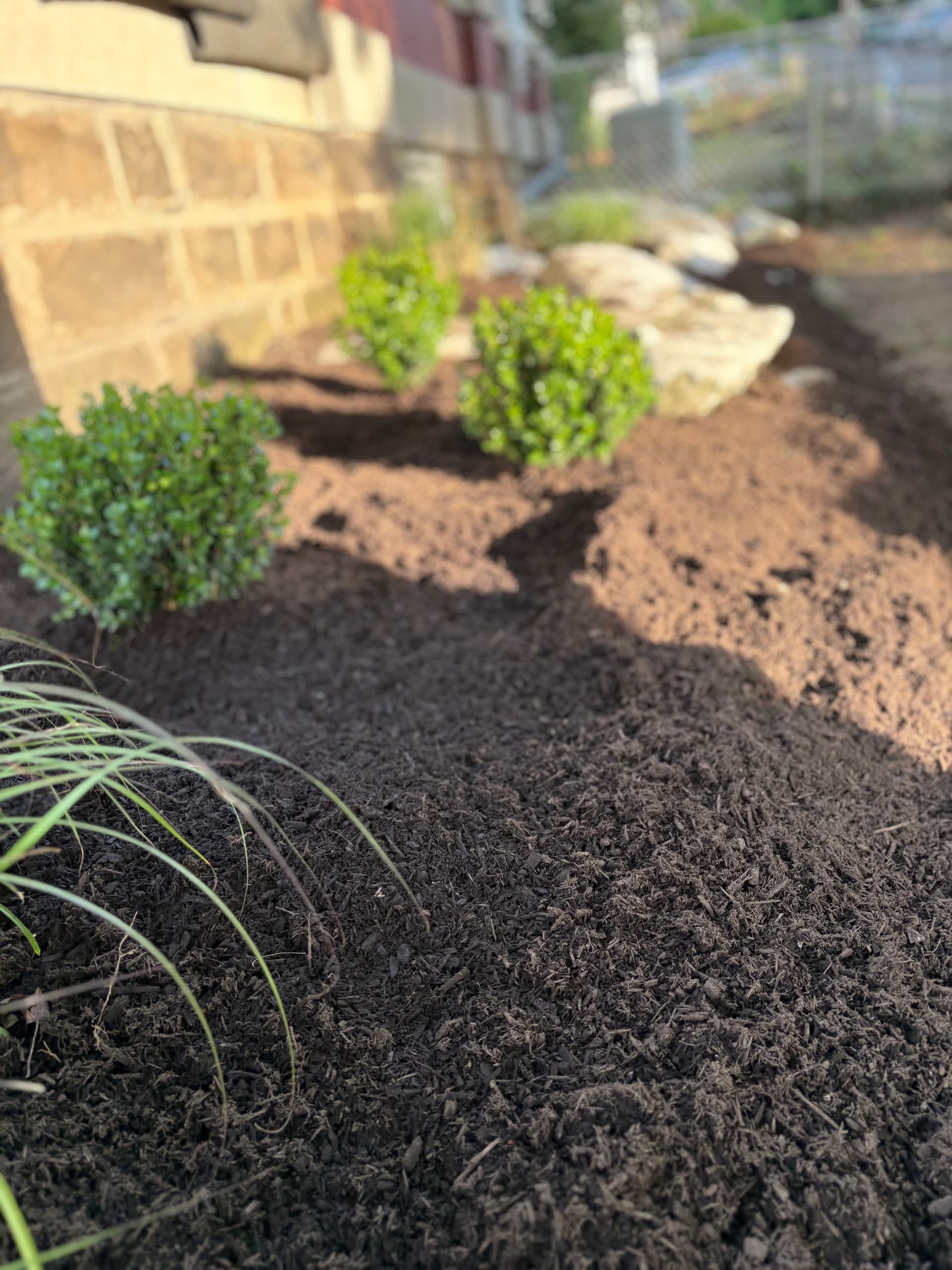 Curb Appeal Planting and Garden Bed Installation in Morgantown image