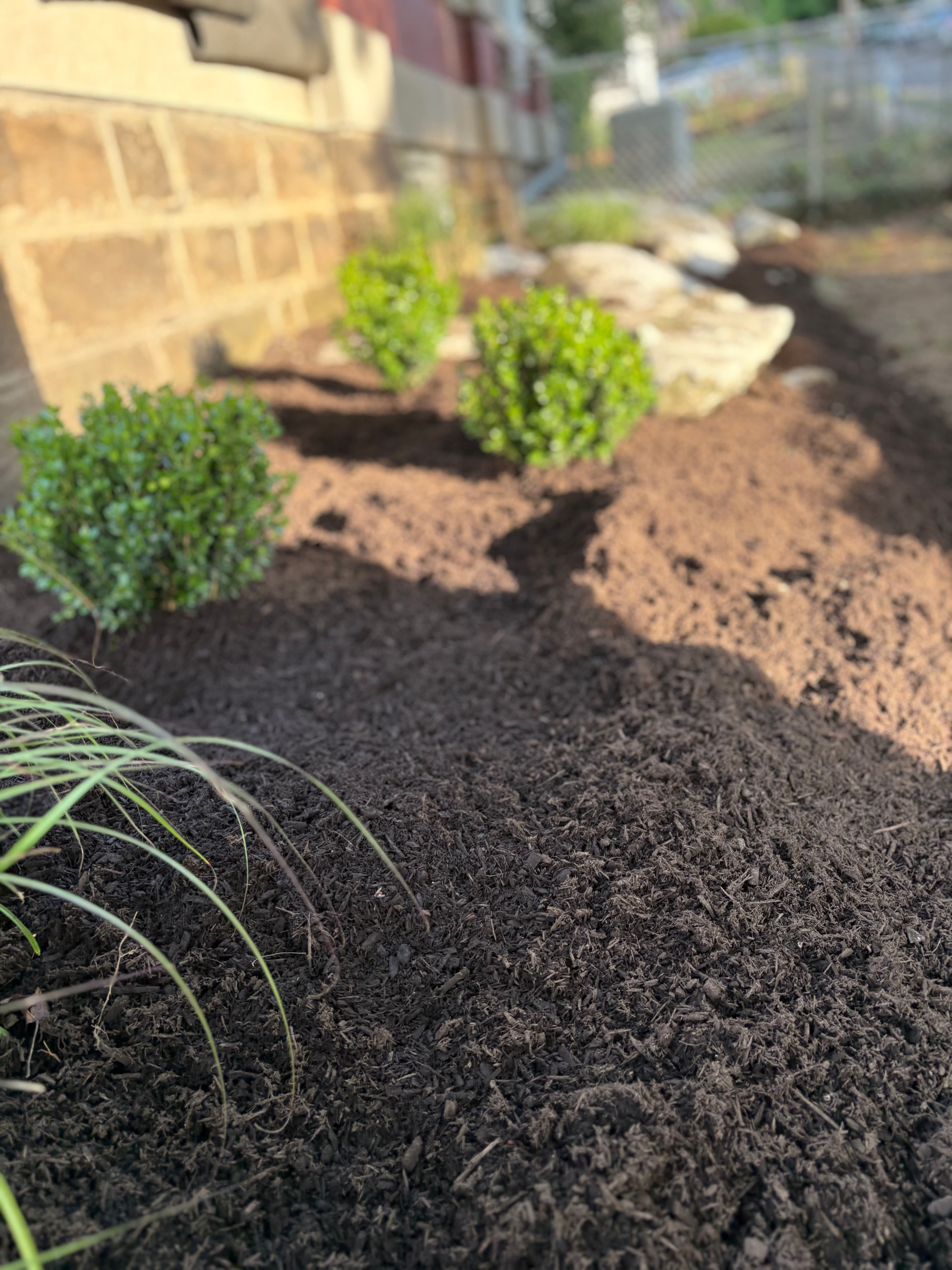 Project Curb Appeal Planting and Garden Bed Installation in Morgantown image