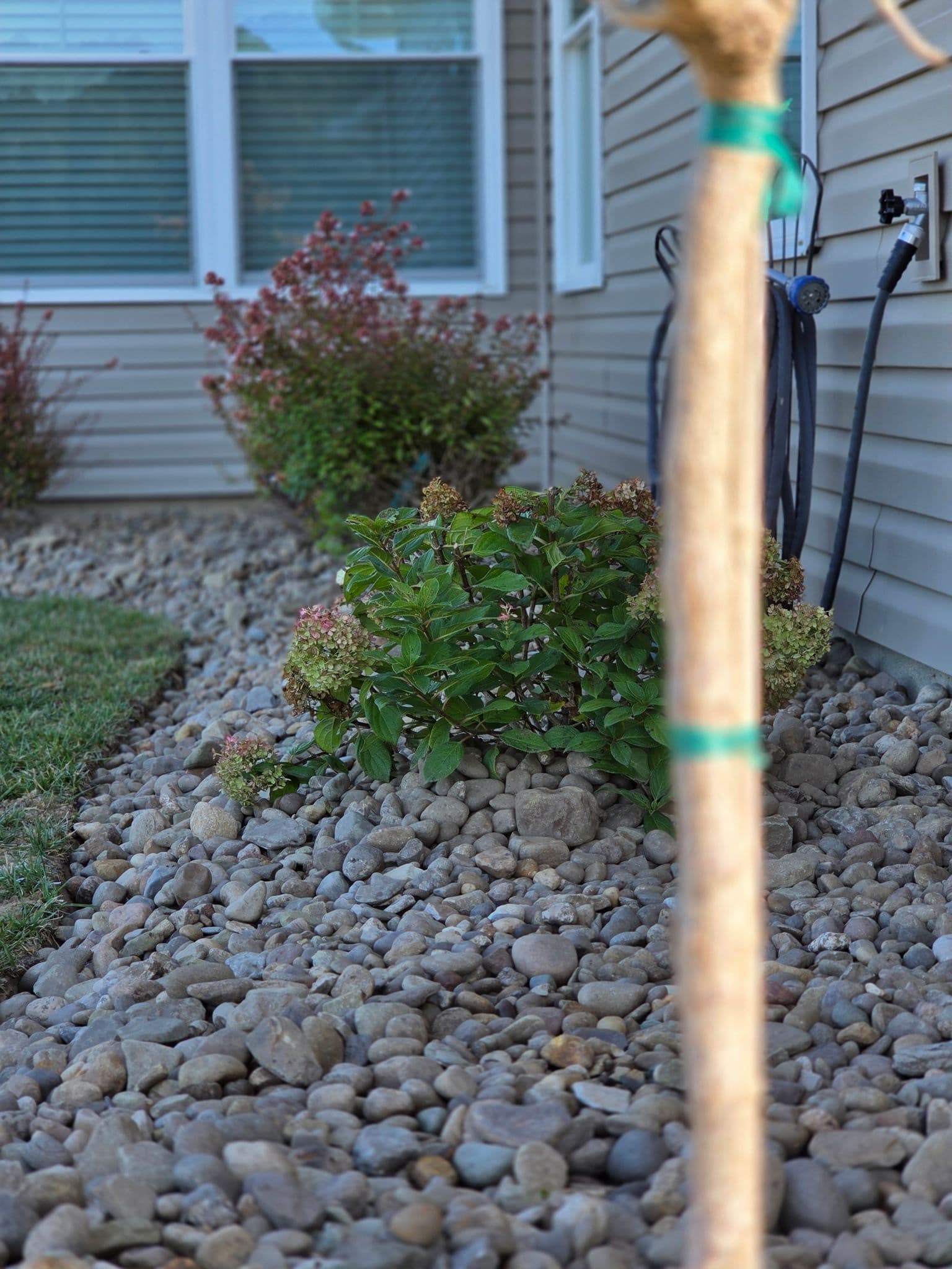 Stunning Bridgeport Garden Transformation image