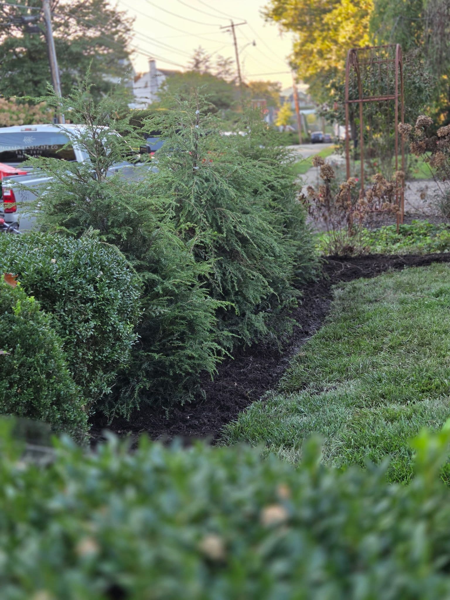 Fresh Landscape Installation in Clarksburg image