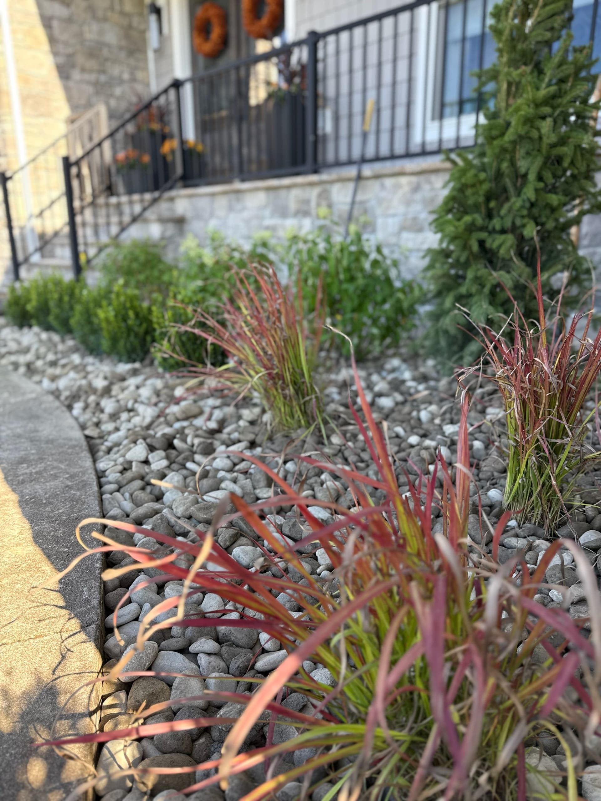 Enhancing Your Front Yard with Elegance and Color for Autumn image