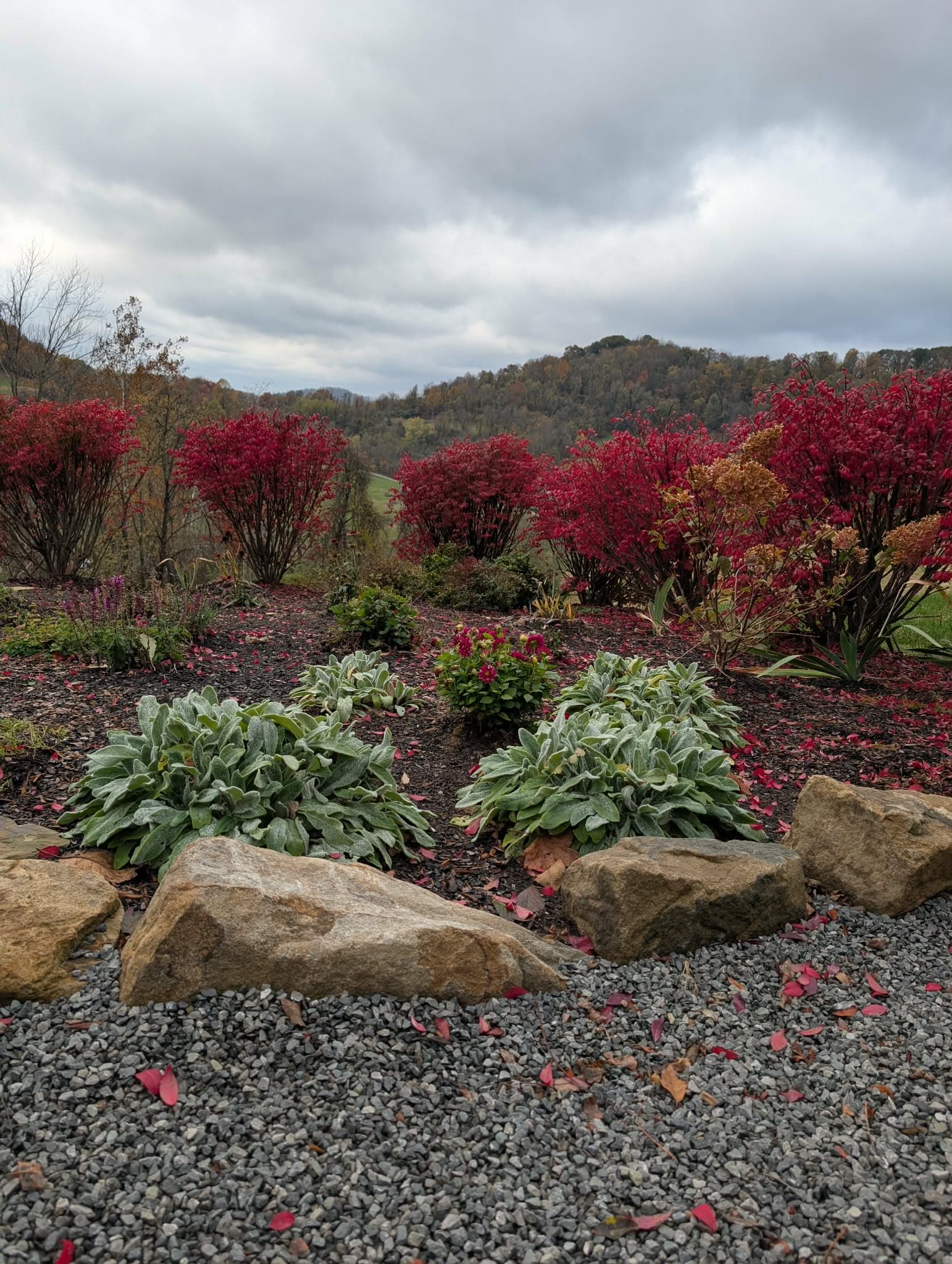 Project Experience Autumn's Beauty in Your Backyard image