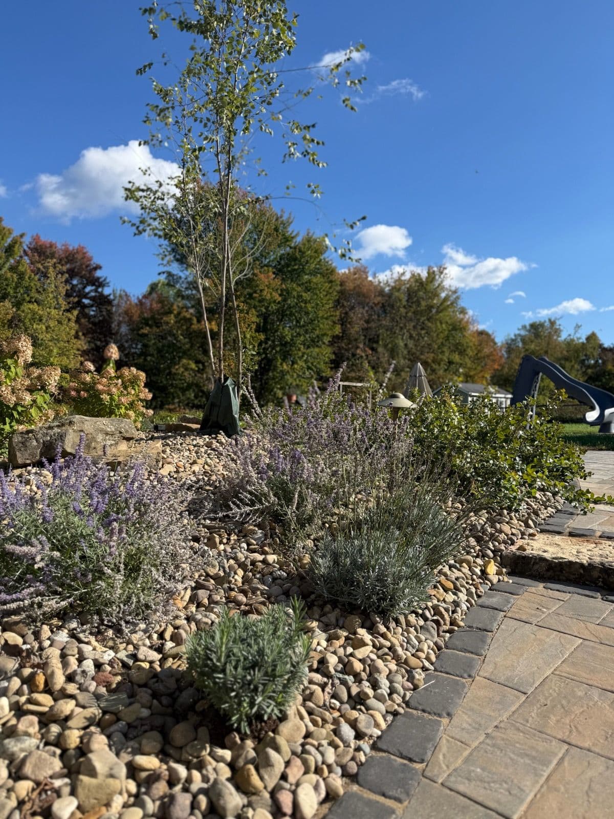 Project Embrace Autumn's Colors with Our Latest Landscape Design image