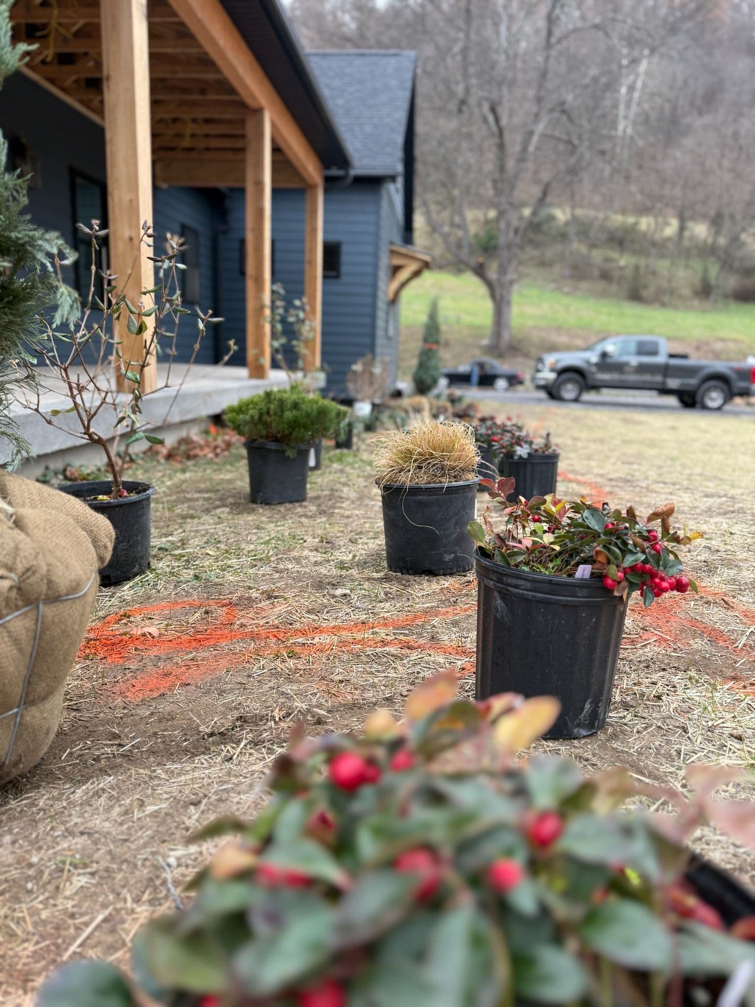 Project Winter-Ready Evergreens Installed in Fairmont image