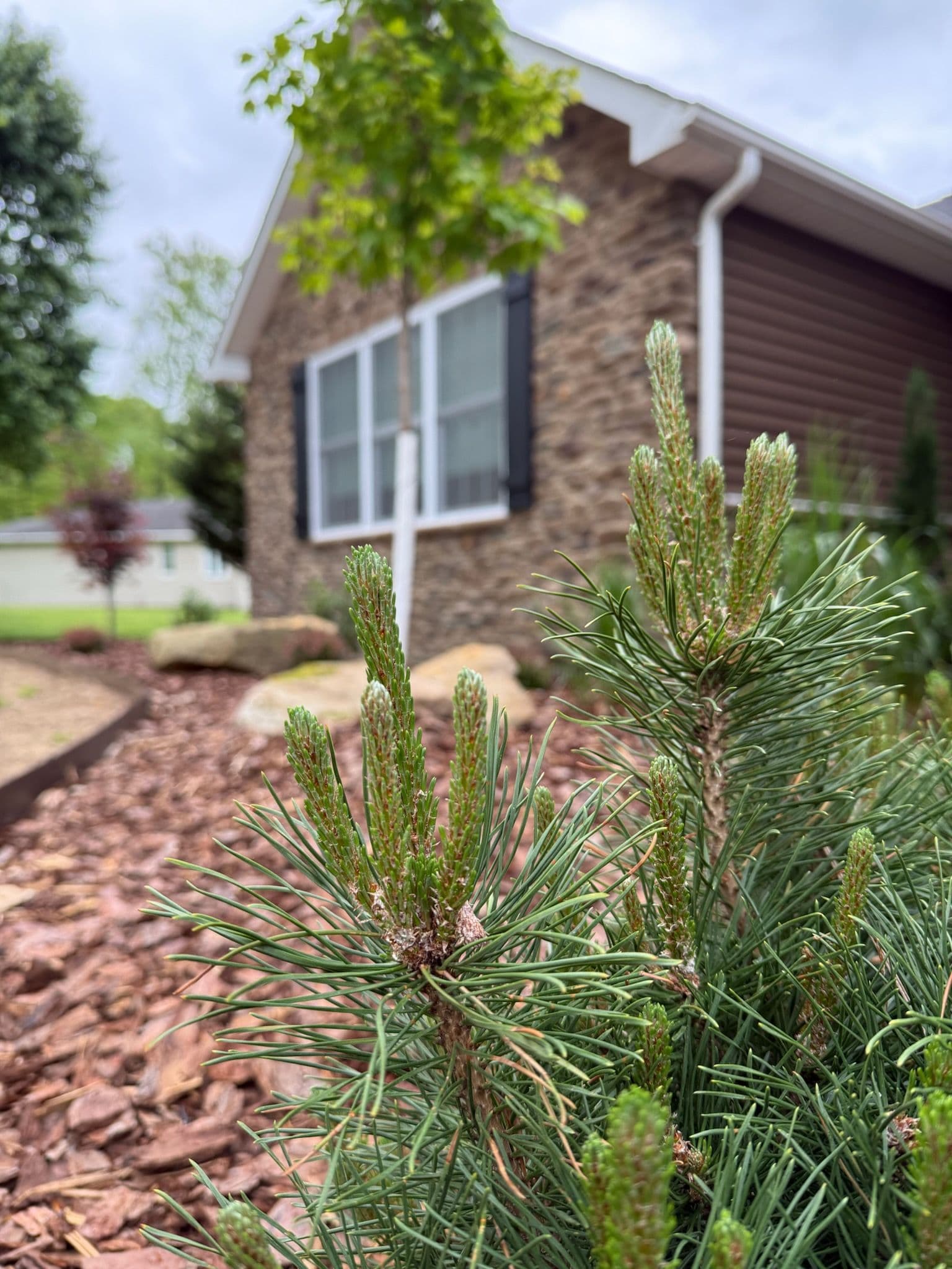 Project Nature's Best at Bridgeport Home image