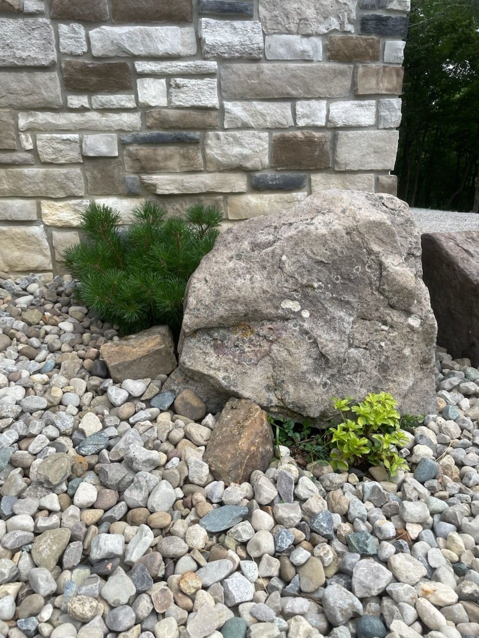 Natural Stone and Evergreen Landscape image