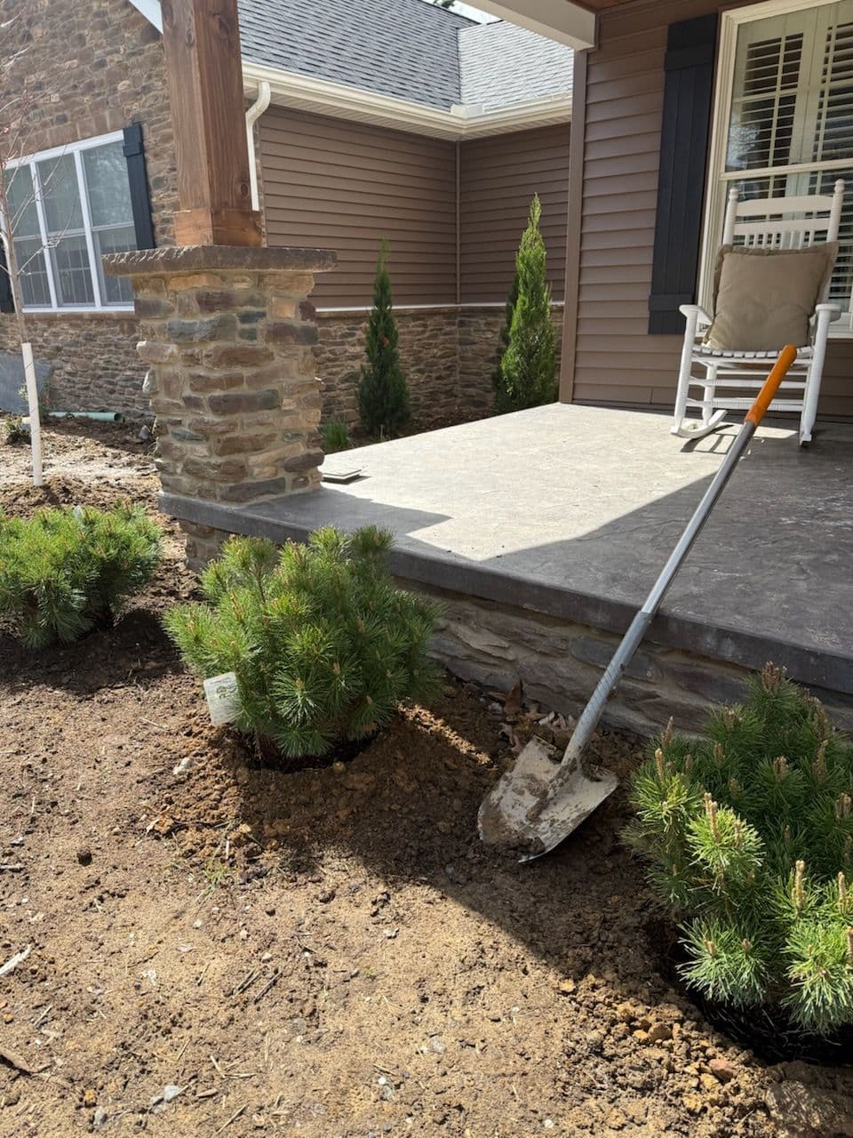 Project Landscape Enhancement with Dwarf Mugo Pines and Spartan Junipers image