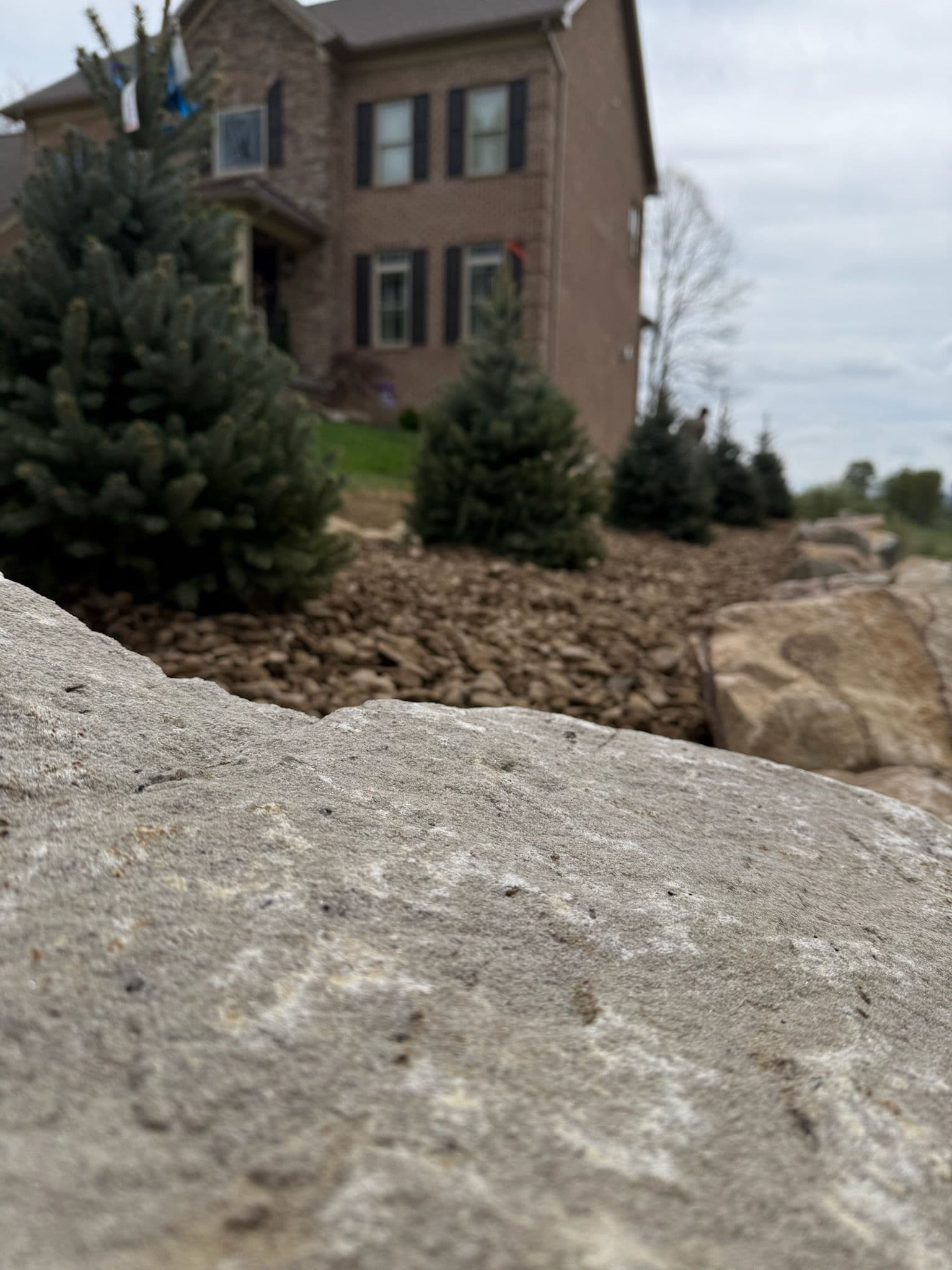 Landscape Transformation Bridgeport Blue Spruce Style
