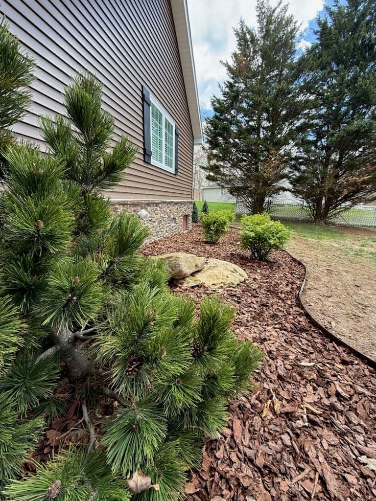 Striking Side Yard Transformation in Bridgeport