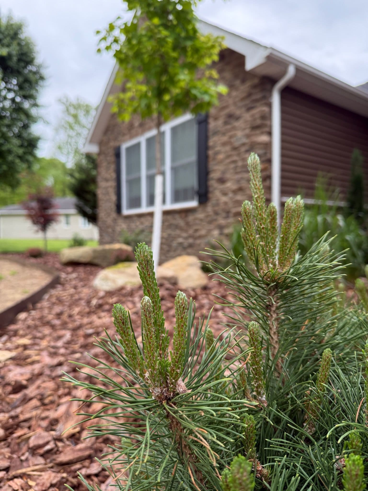 Enhancing Curb Appeal at Bridgeport Home
