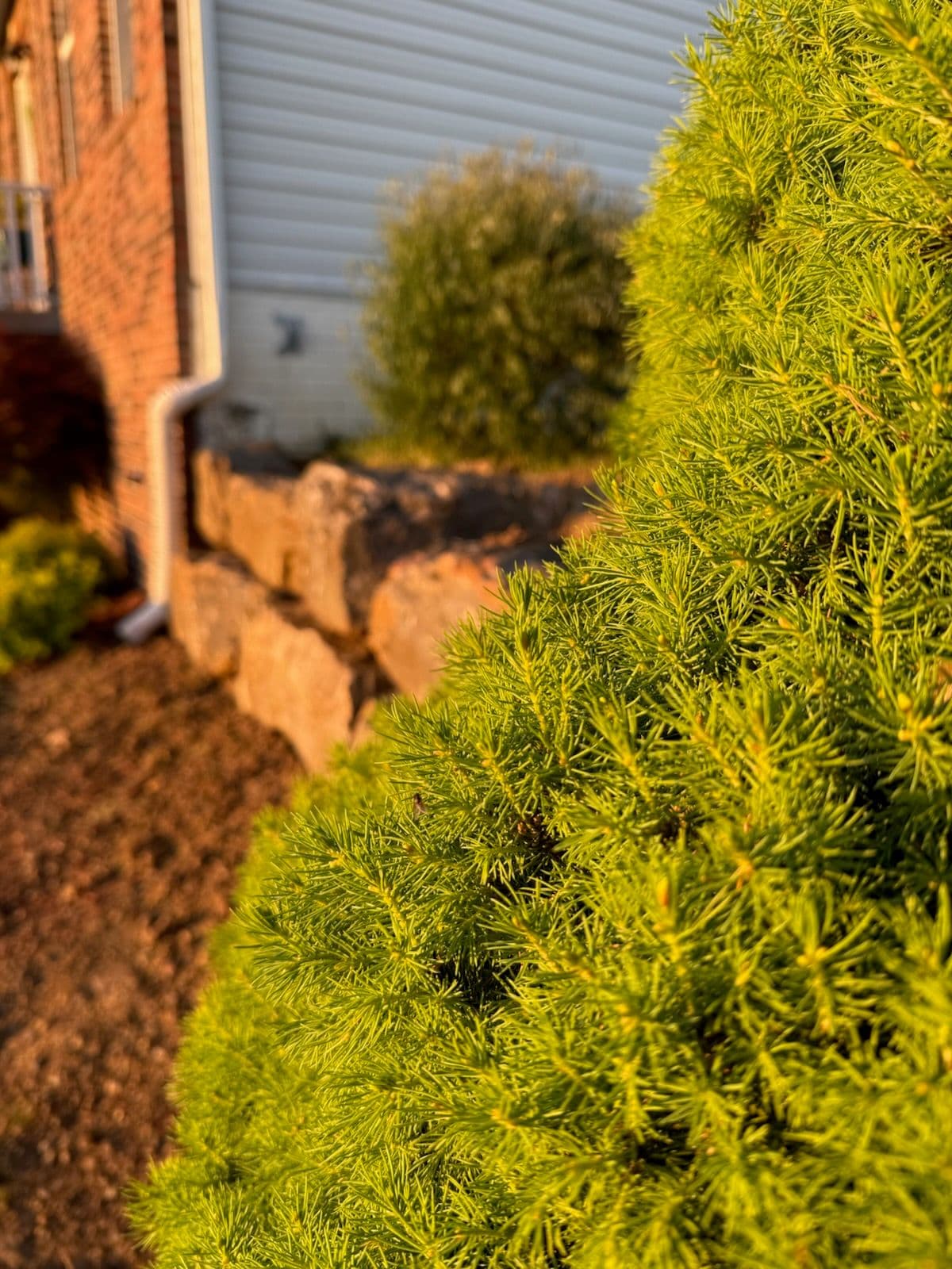 Transformative Boulder Wall and Garden Oasis image