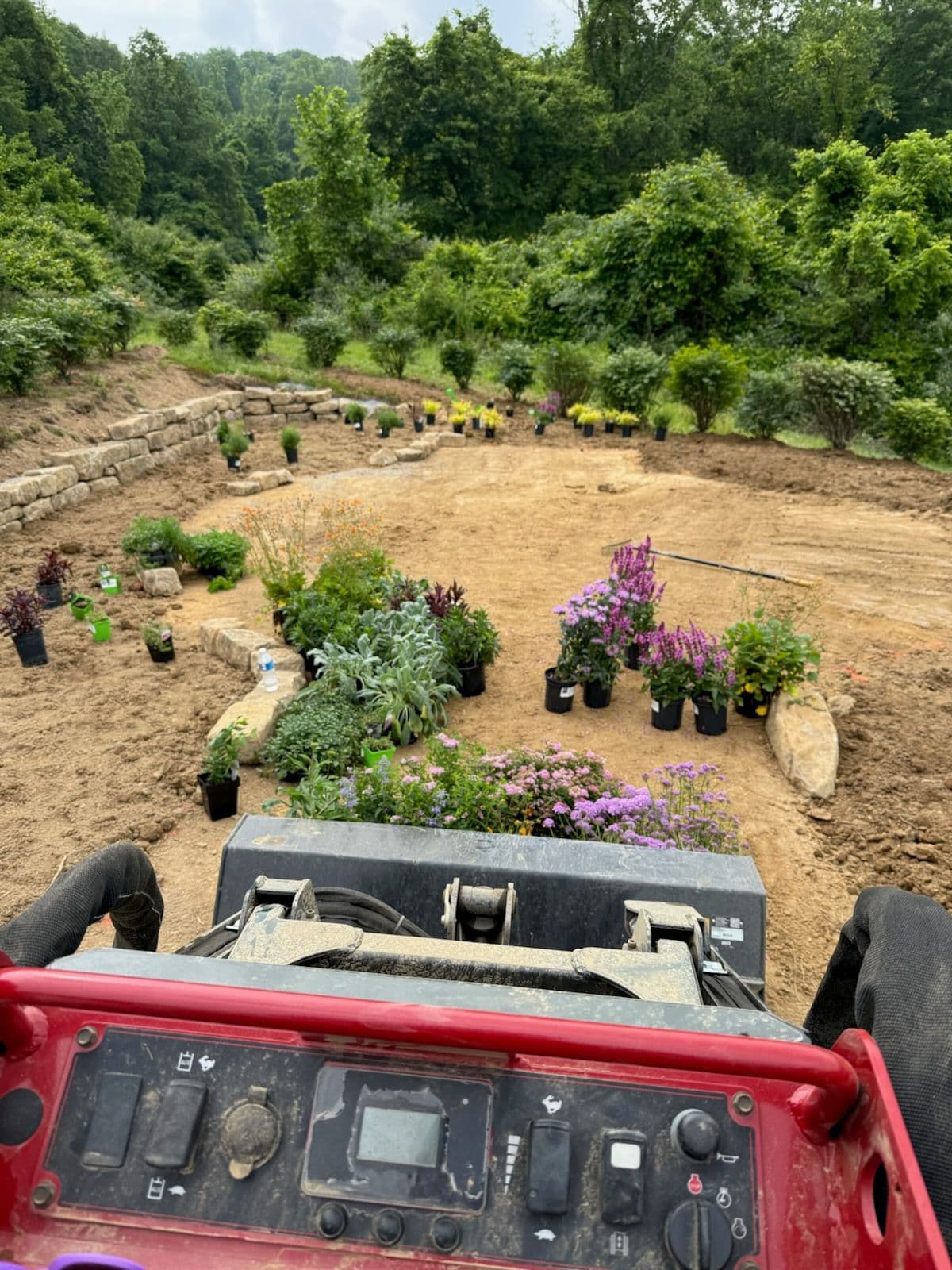 Creating an English Garden Retreat in Bridgeport image