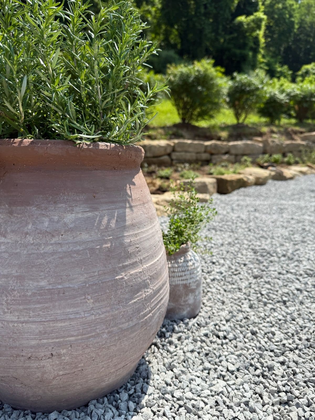 Creating a Calming Outdoor Haven with Herbs image