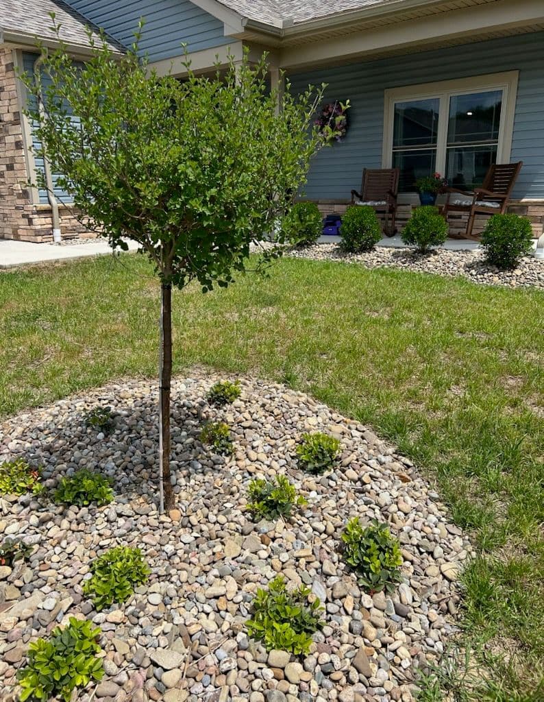 Stunning Curb Appeal Transformation in Bridgeport image