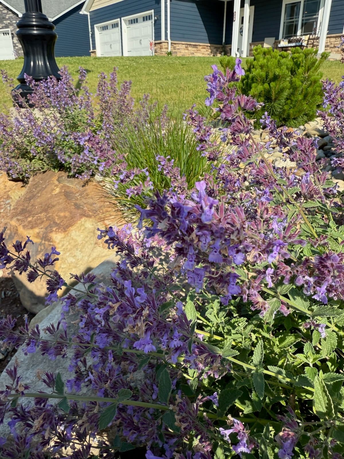 Transform Your Garden with Vivid Nature Designs image