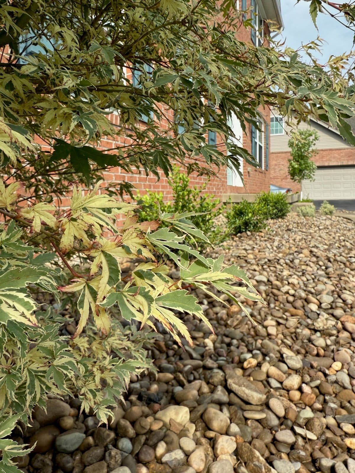 Vibrant Landscaping in Bridgeport image