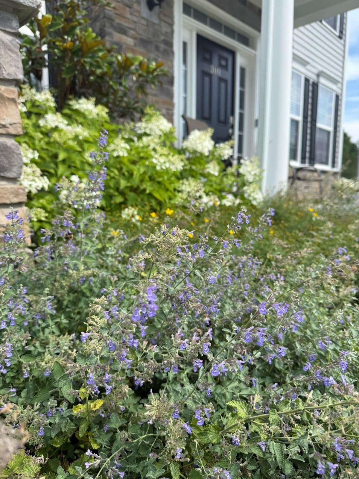 Create Stunning Entrances with Packard Landscape Co image
