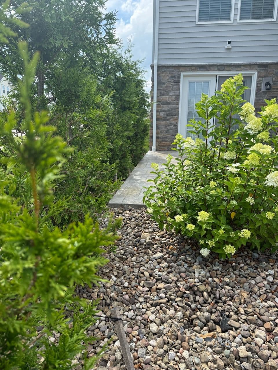Stunning Garden Oasis Transformation in Bridgeport image
