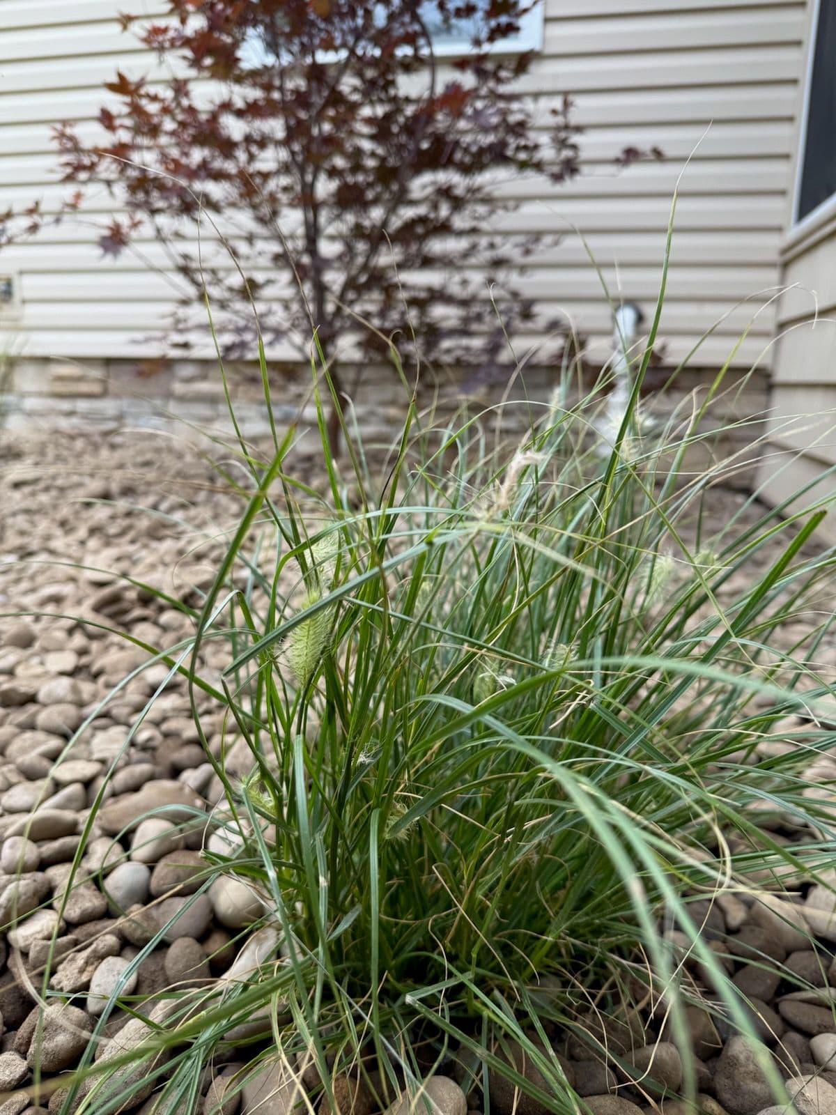 Transform Your Space with Packard Landscape image