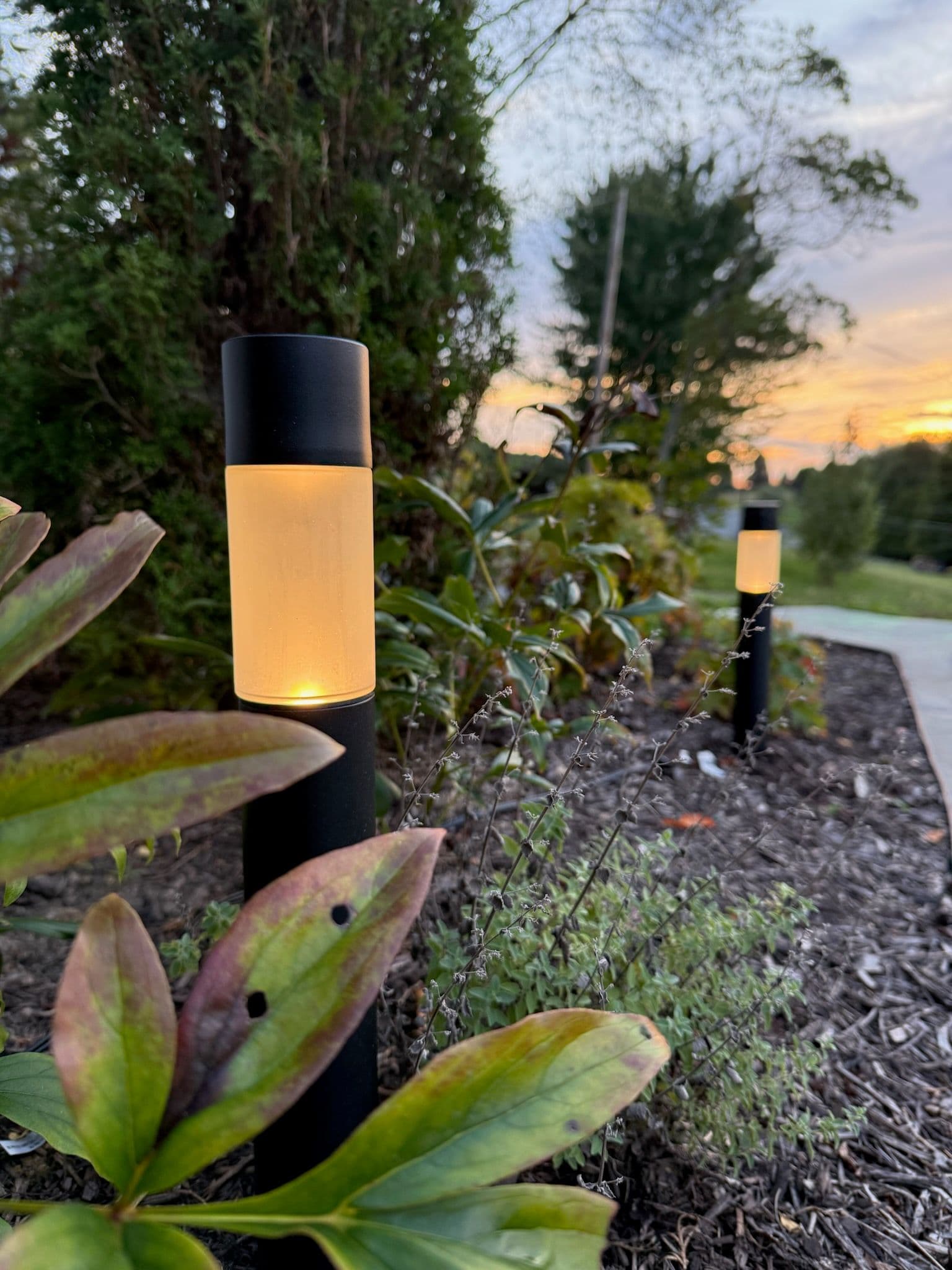 Transform Your Evenings with Elegant Path Lighting image